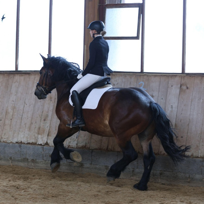 Eine Frau reitet Galopp